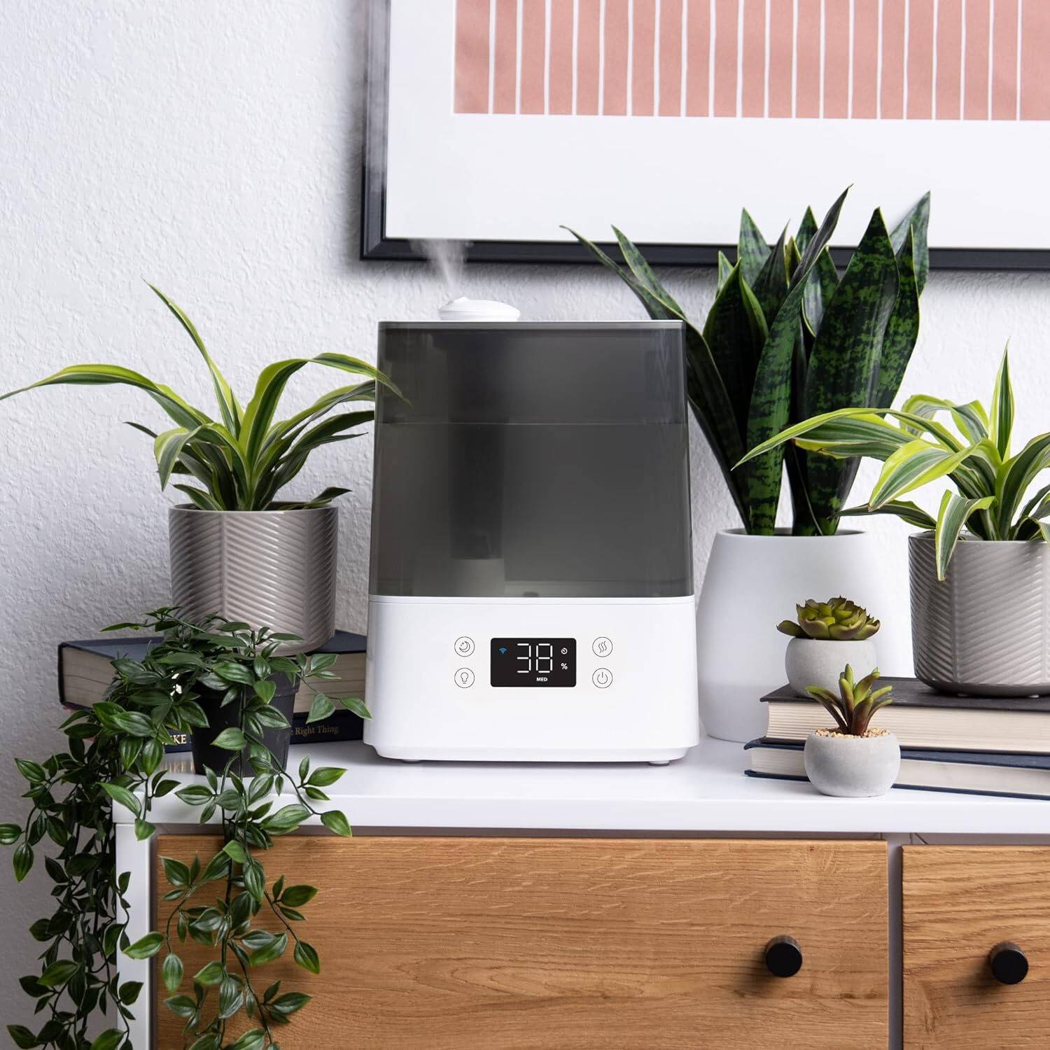 6 Litre Cool Mist Humidifier